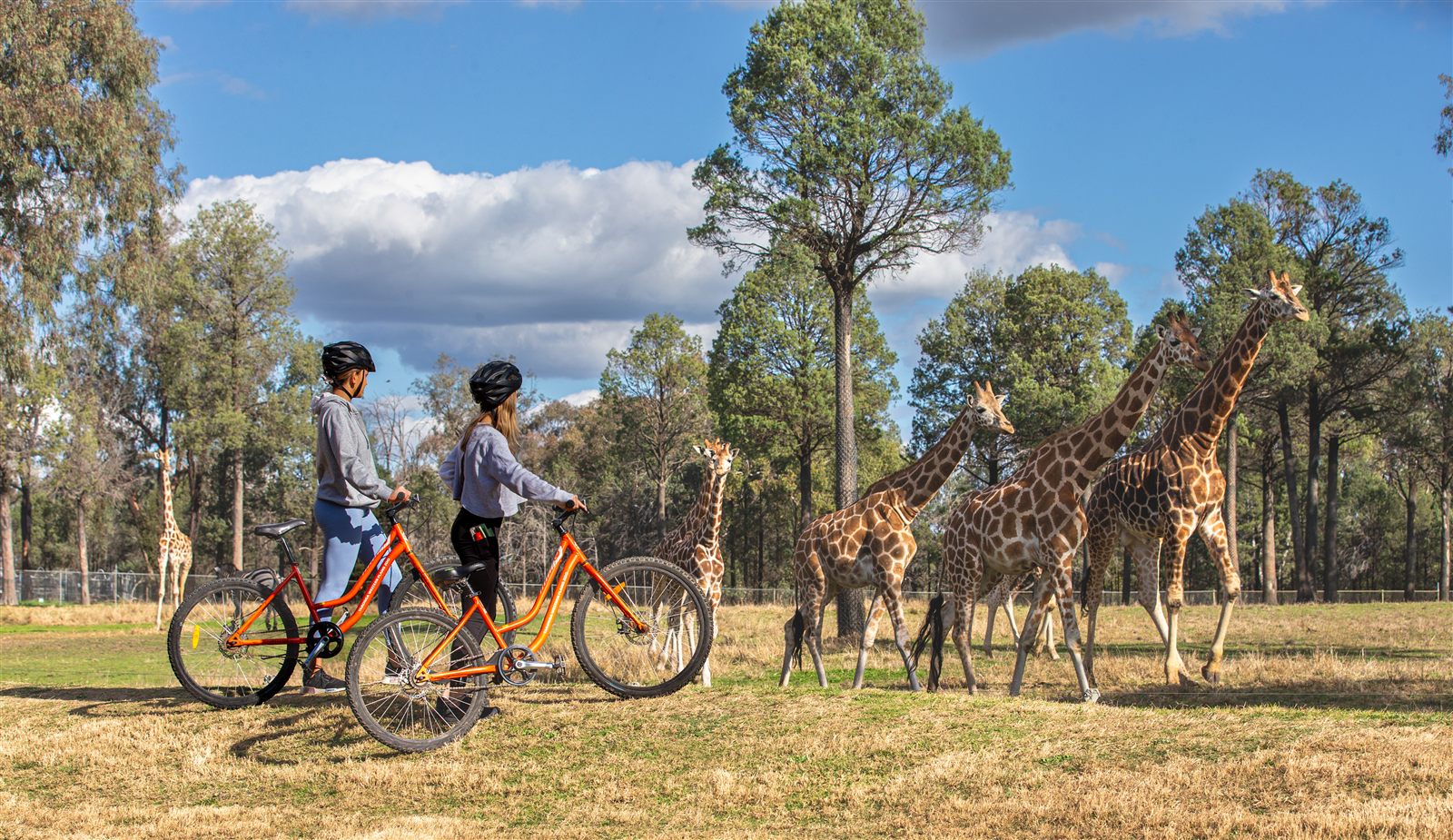 Bike riding in Dubbo